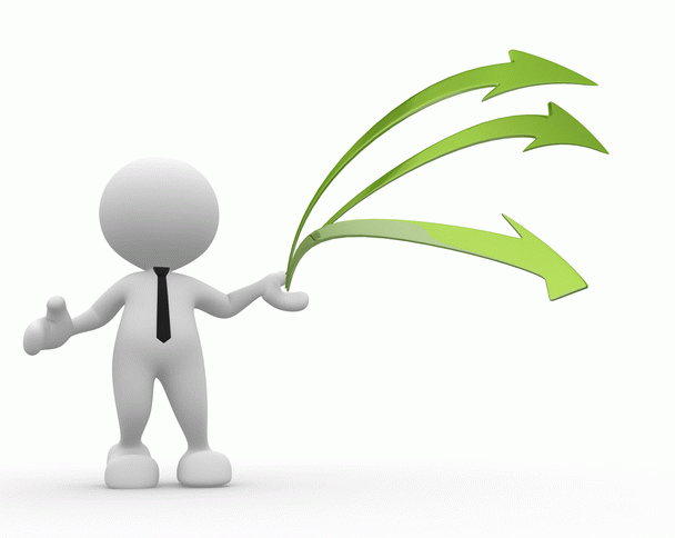 14 نکته کلیدی برای مقابله با 10 بیماری شایع خوکچه هندی